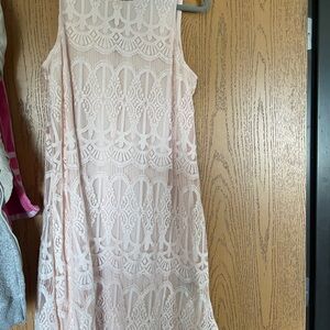 Bison bison Michelle bohbot 12